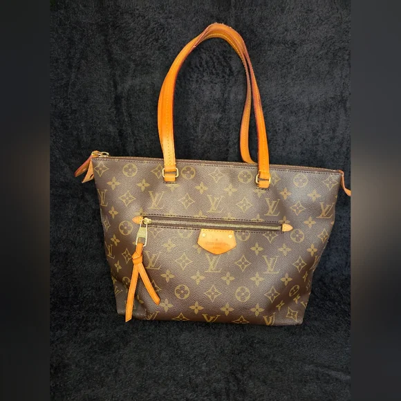 Louis Vuitton Brown Monogram Ièna PM - Picture 1 of 11